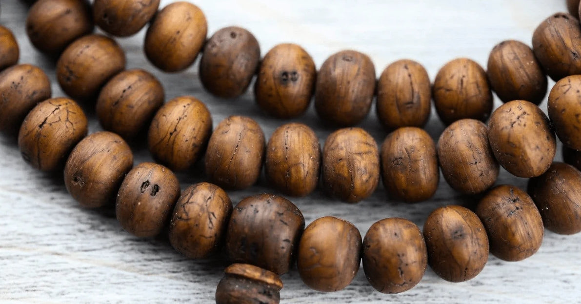 The Meaning of Bodhi Seeds