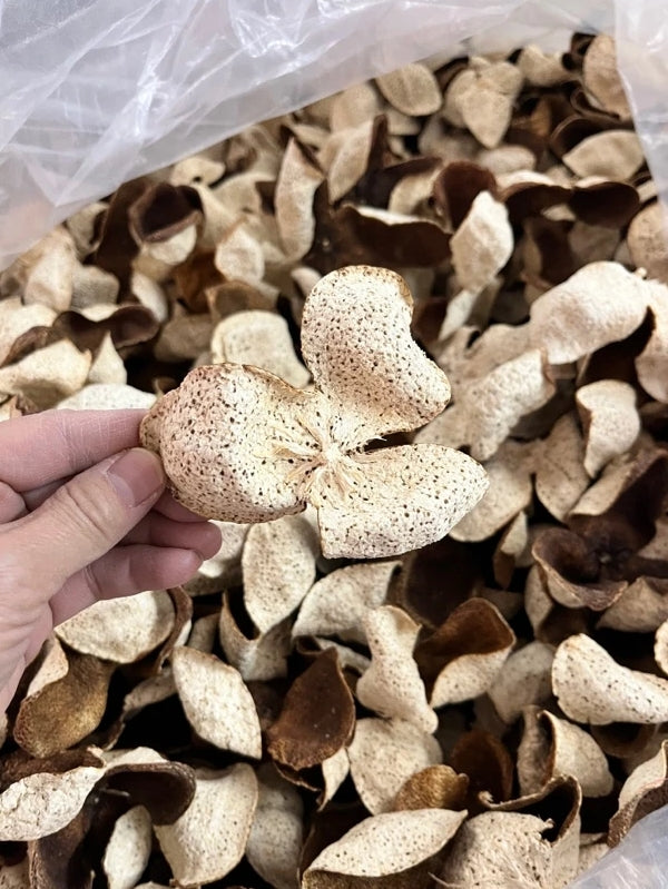 2022 Xinhui Tianma Producing Area Big Red Dried Tangerine Peel