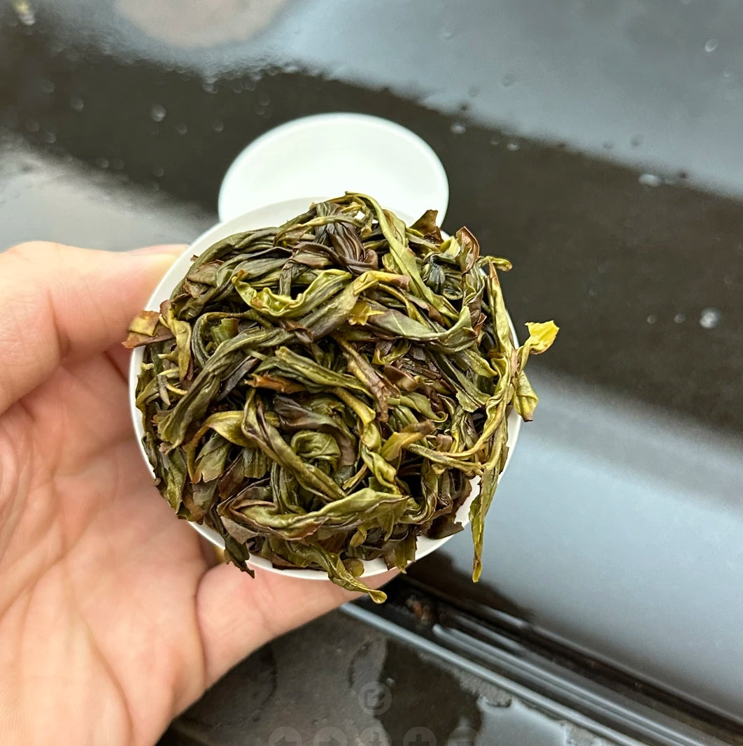 Lao Cong "Duck Shit Aroma" Dan Cong Oolong Tea